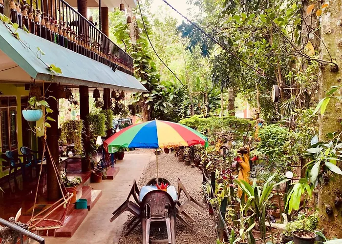 Jungleview Home Stay
