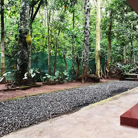Jungleview Home Stay Idukki Exterior photo