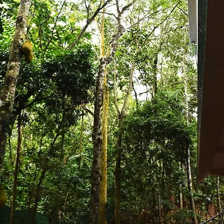 Jungleview Home Stay Idukki Exterior photo