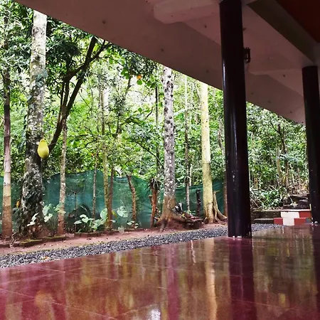 Jungleview Home Stay Idukki Exterior photo