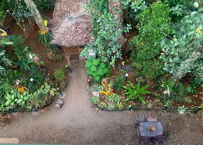 Jungleview Home Stay