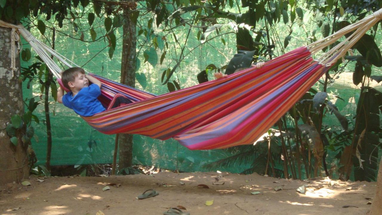 Homestay Jungleview