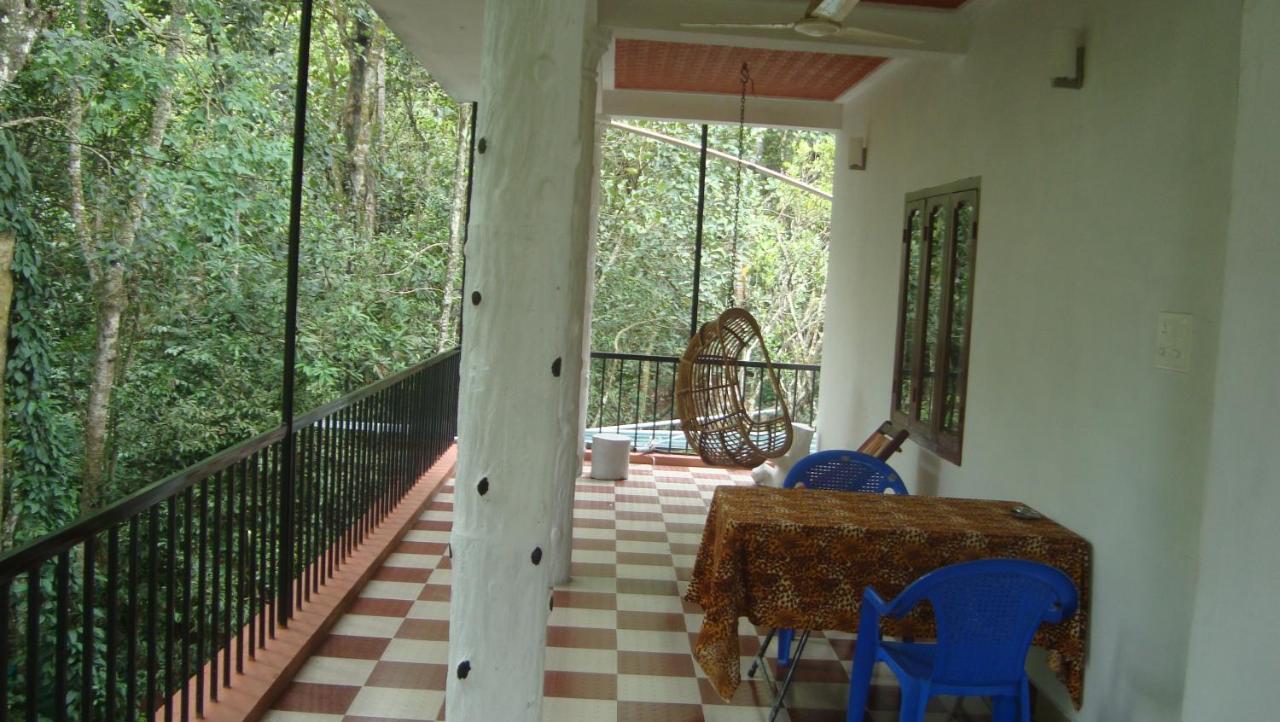 Jungleview Homestay Idukki