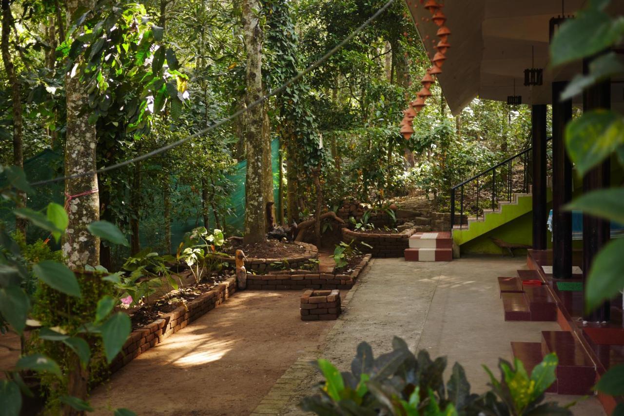 Jungleview *