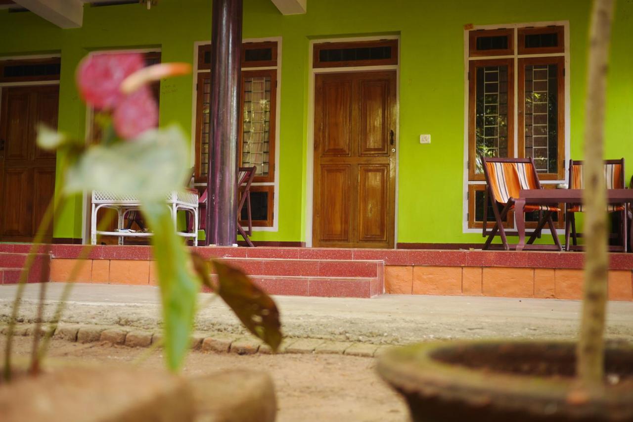 Jungleview