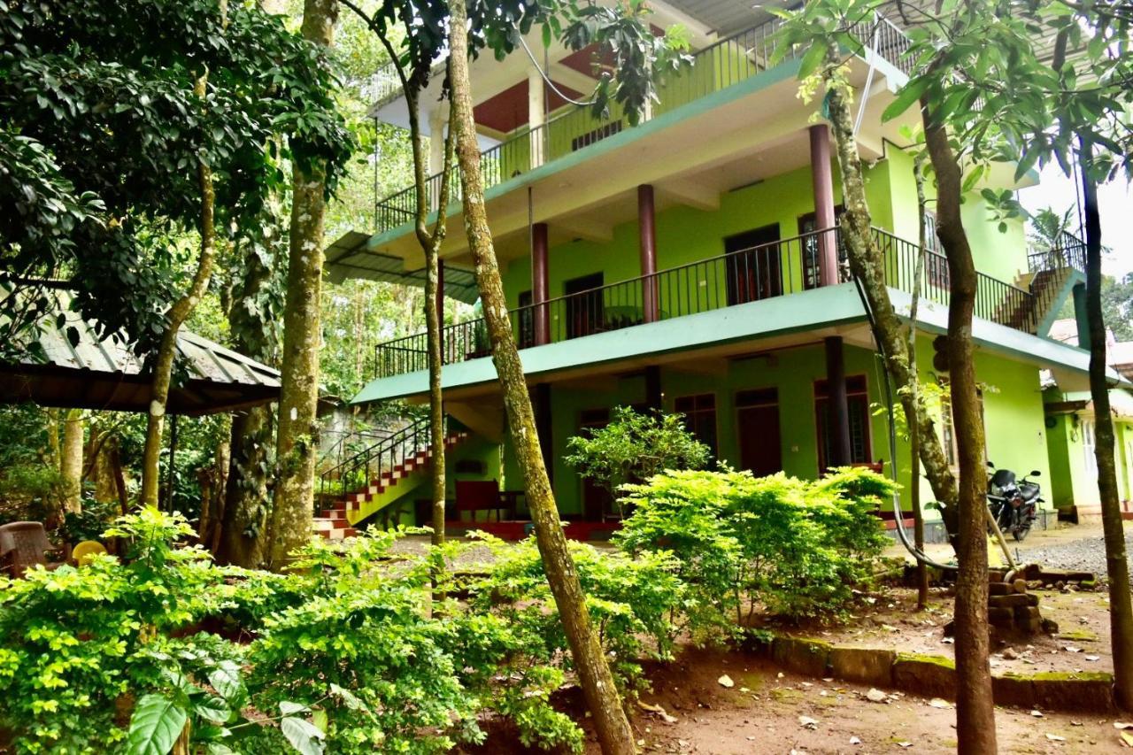 Jungleview Homestay *