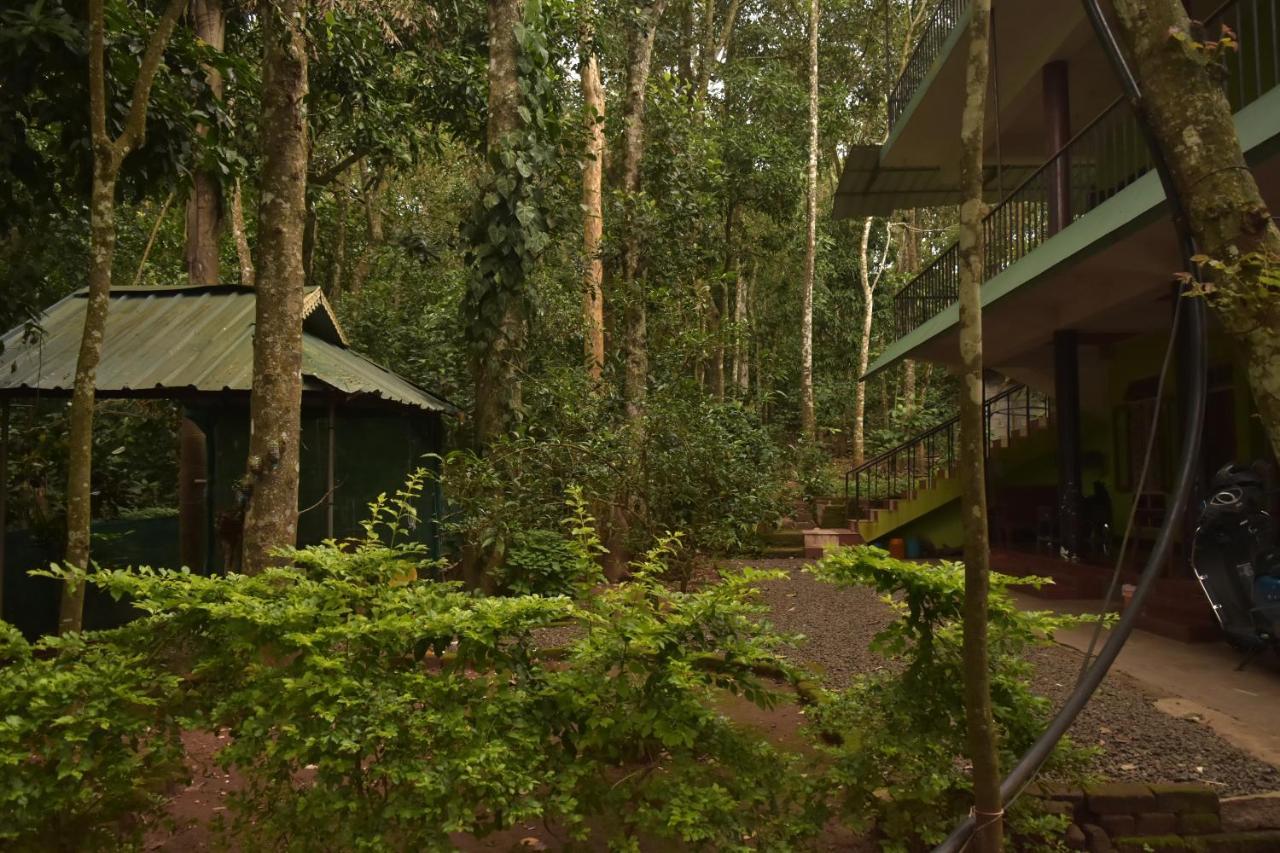 Jungleview Homestay *