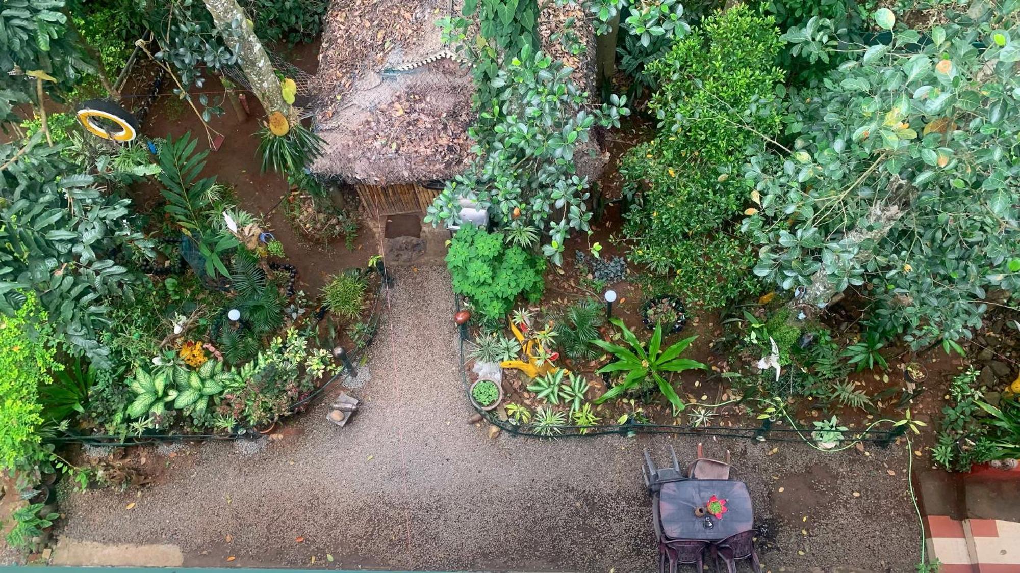 Jungleview Homestay *