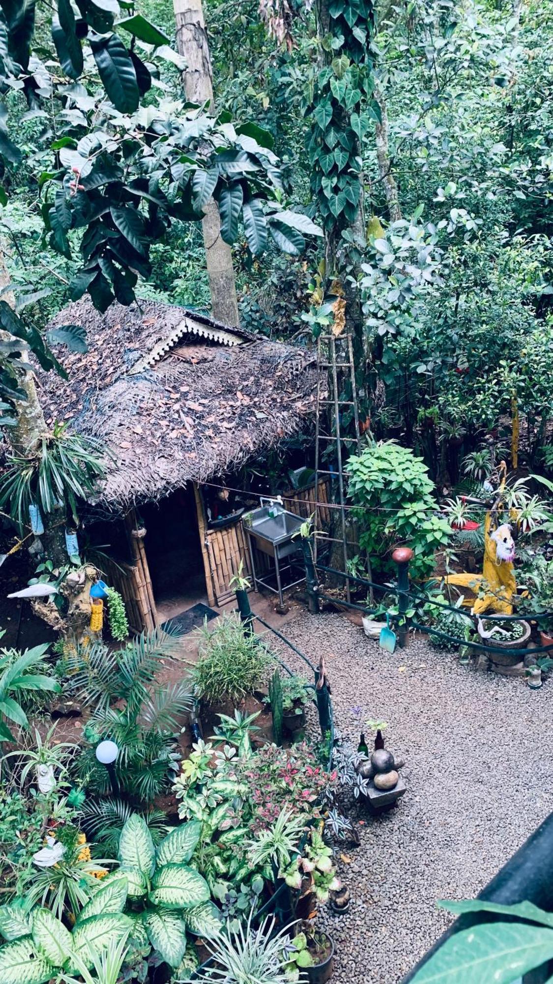 Homestay Jungleview Idukki
