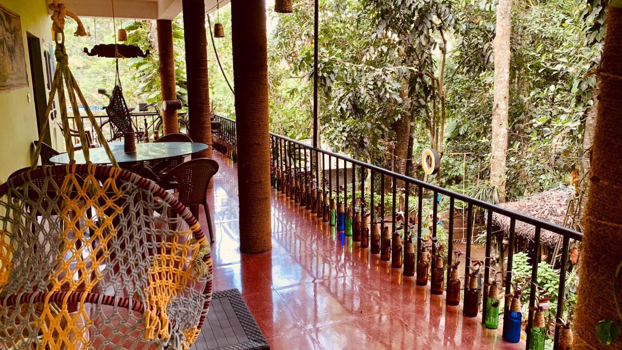 Homestay Jungleview