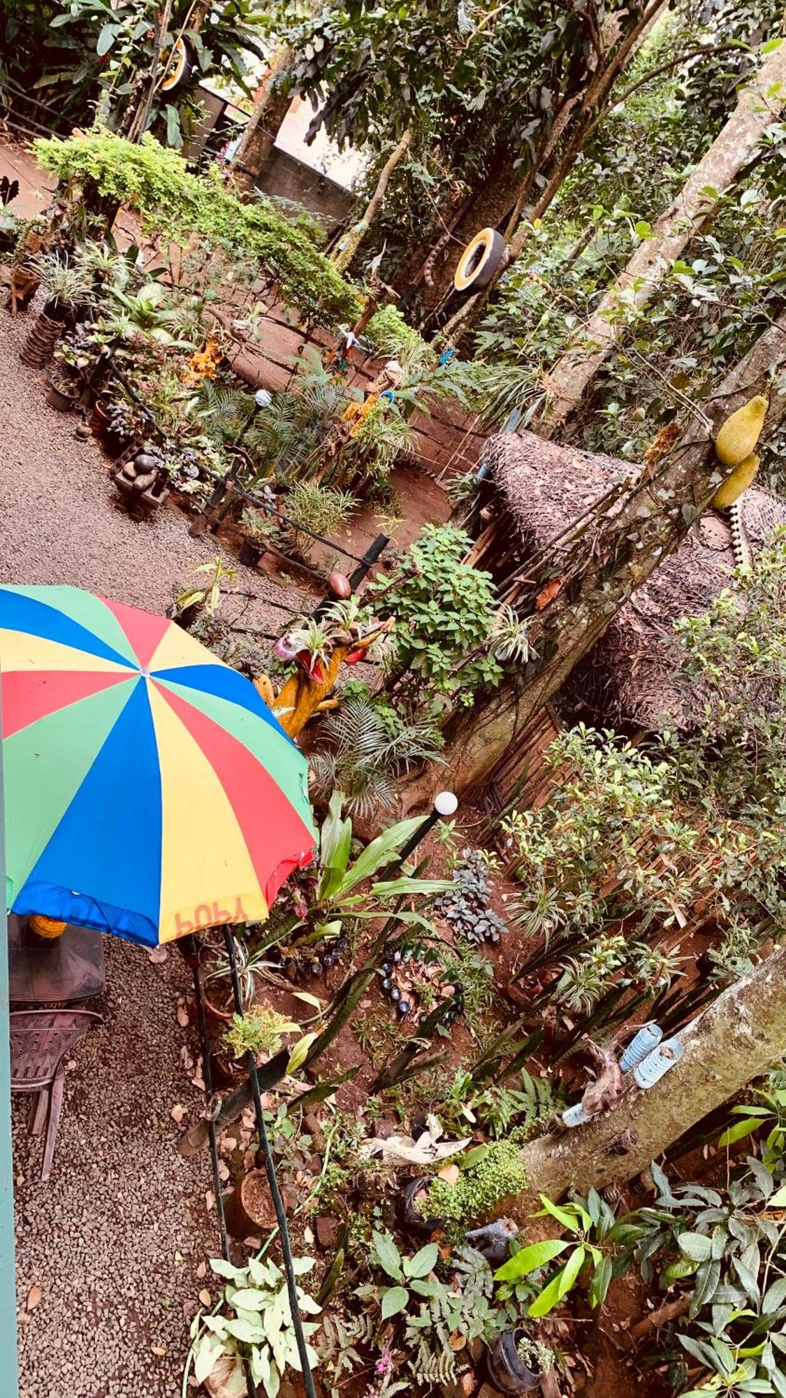 Jungleview Homestay *