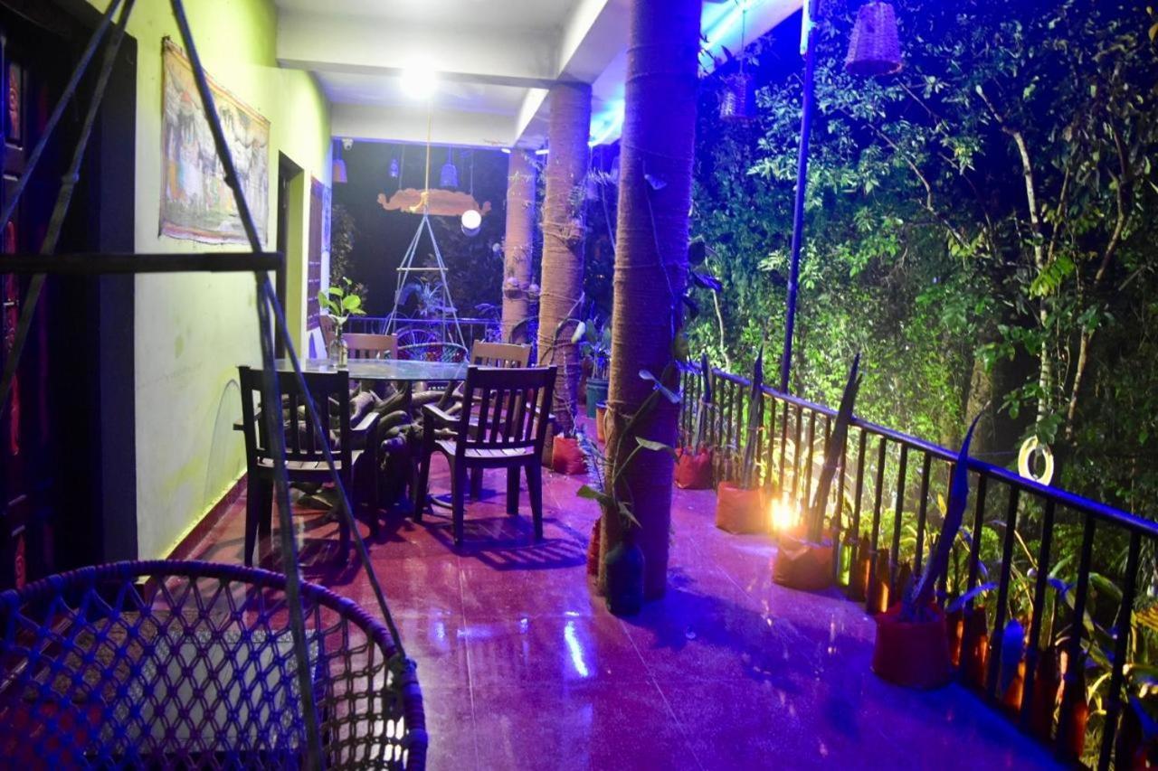 Jungleview *