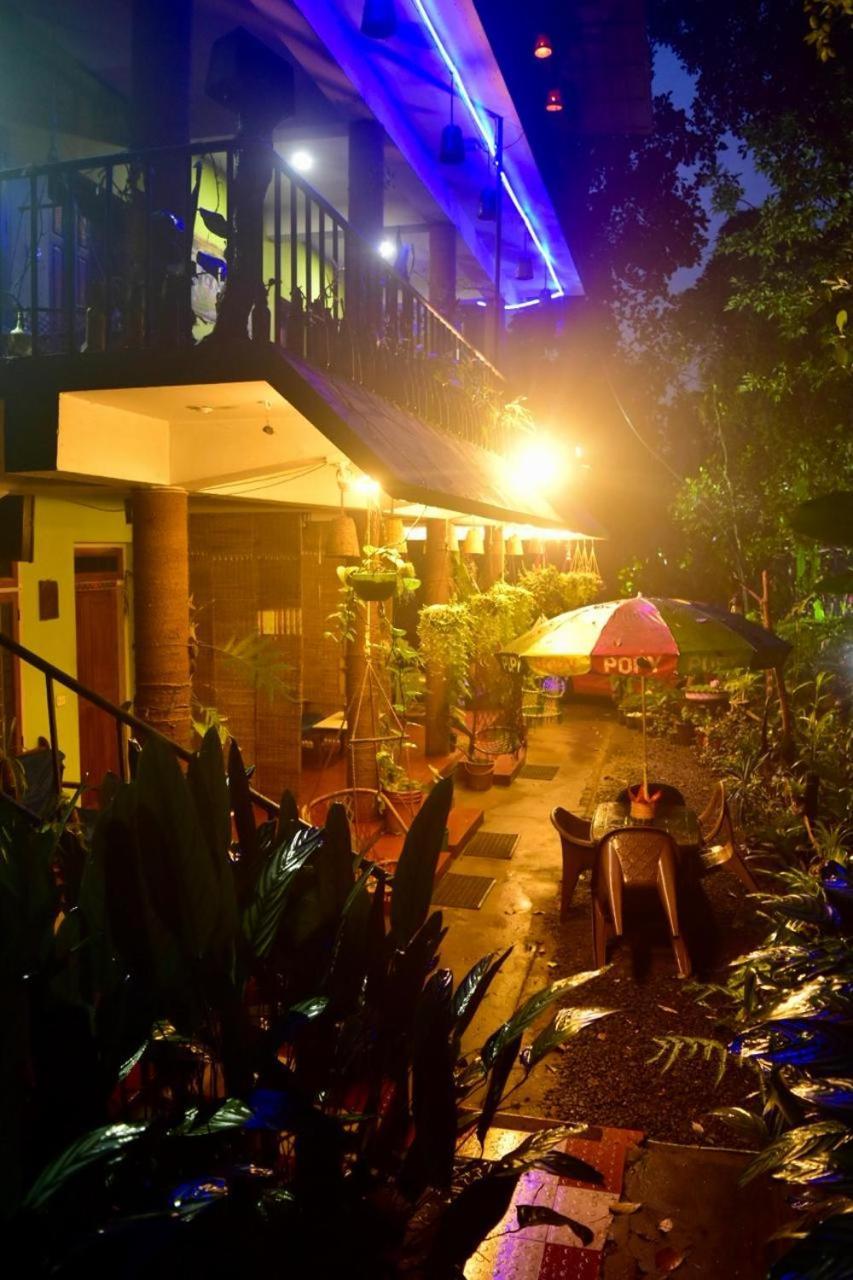 Jungleview
