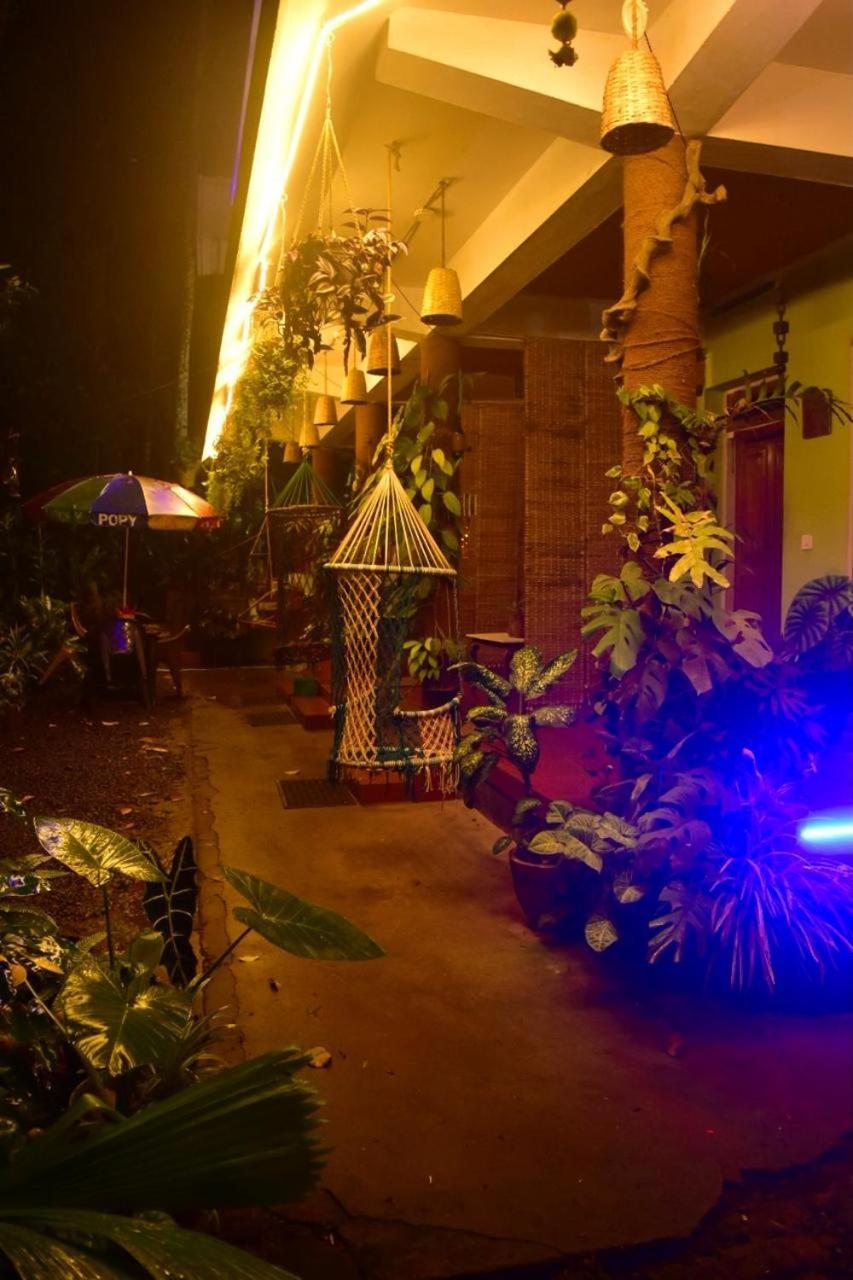 Jungleview Homestay