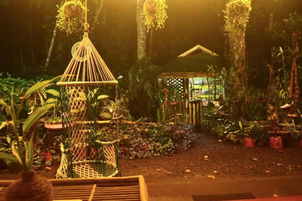 Homestay Jungleview