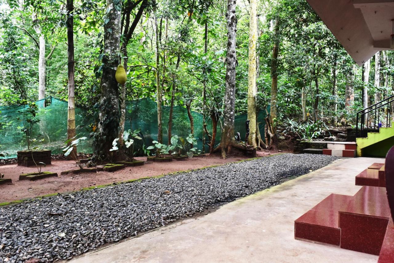 Jungleview