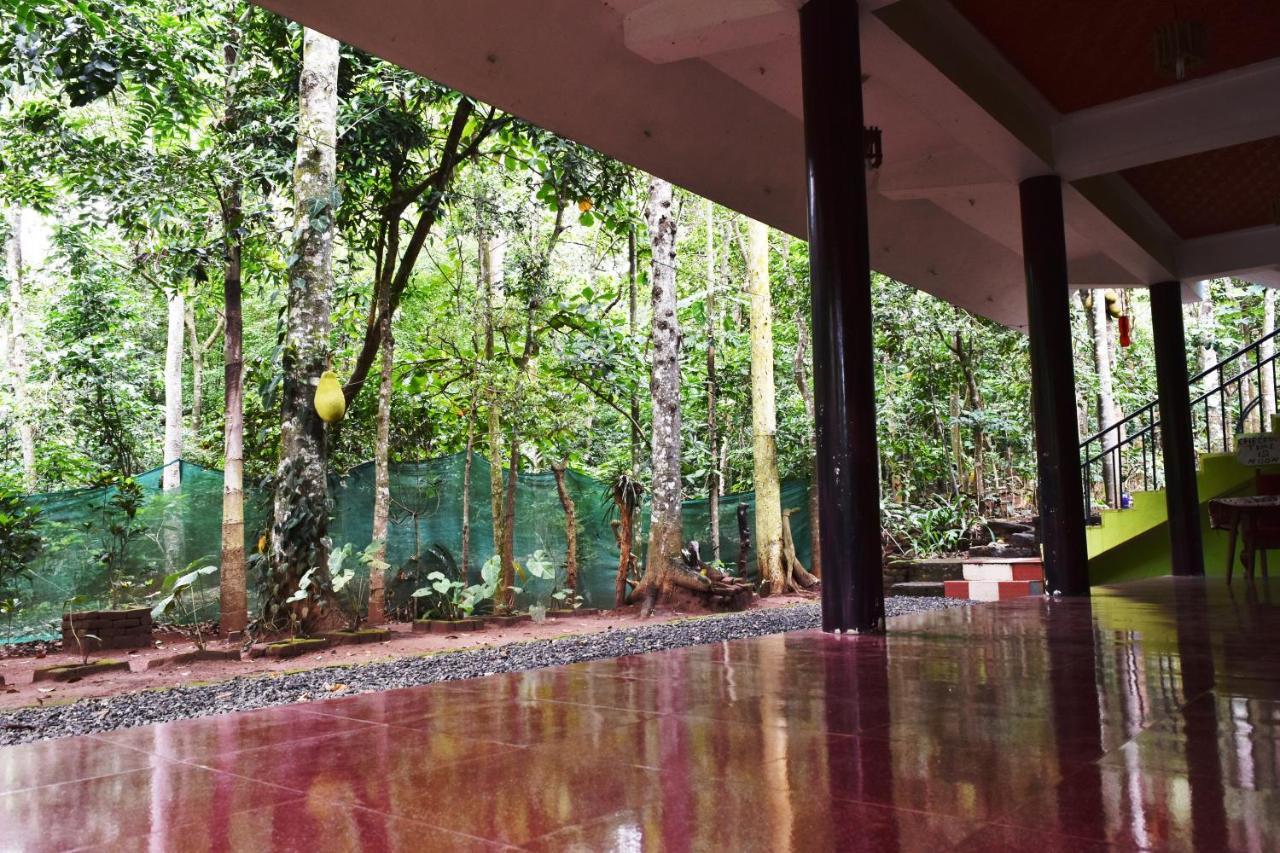 Jungleview Idukki