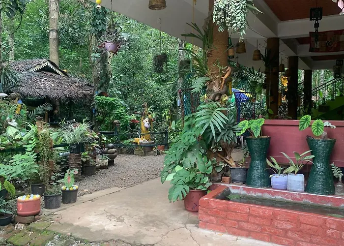 Jungleview Home Stay