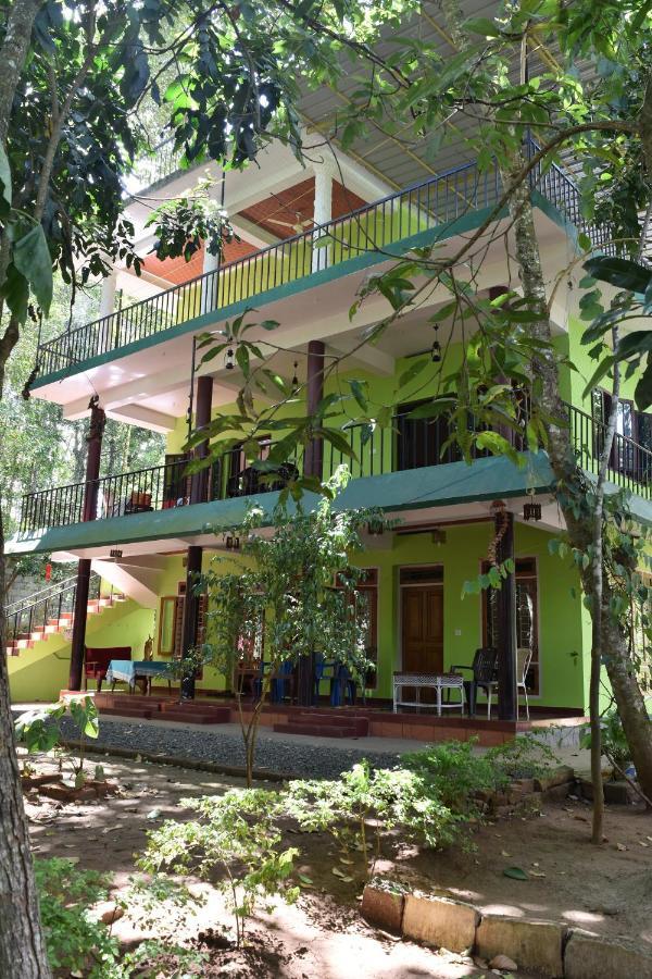 Homestay Jungleview